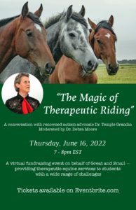 Magic of Therapeutic Riding Seminar Flyer